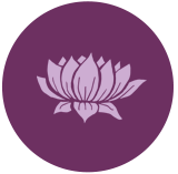 dk-icon-lotus
